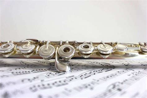 Flute Rental Musicular