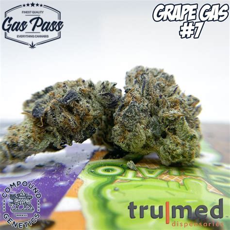 Grape Gas 7 By Trumed Hippy Life Entertainment