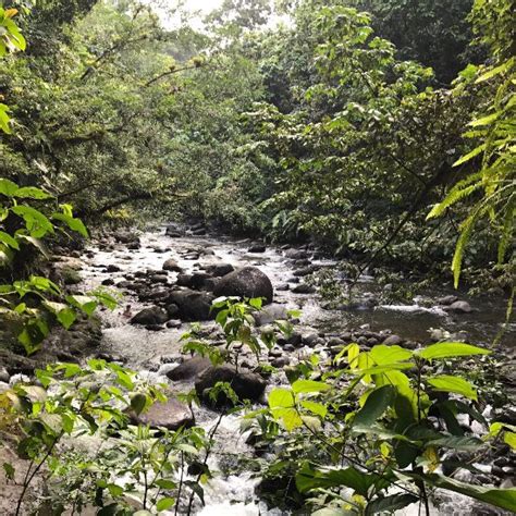 Cascade Aux Ecrevisses Parc National Guadeloupe Top Tips Before You
