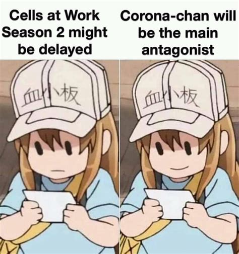 Who Is Excited For Cells At Work S2 Wholesomeanimemes
