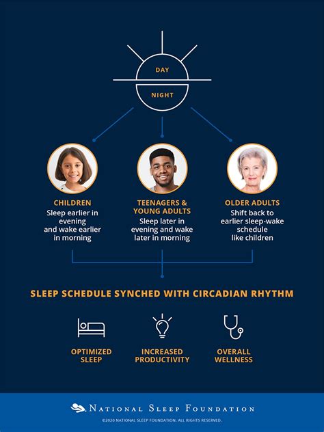 Understanding Circadian Rhythms National Sleep Foundation