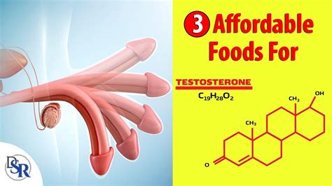 3 most affordable and healthiest testosterone boosting foods clinically proven youtube