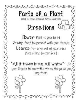 The roots hold the plant in place, plant in place. Parts of a Flower Song (Sung to Head, Shoulders, Knees, and Toes) FREEBIE | Parts of a flower ...