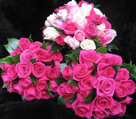 3300x2180 Roses Flowers Wedding Bouquets Beauty Wallpaper