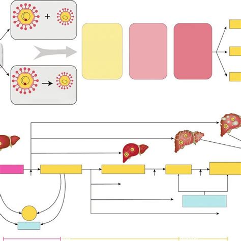 The importance of epstein — barr virus (ebv) infection is accounted for by its high occurrence, specific tropism to immune cells. (PDF) Estimating the Global Prevalence, Disease ...