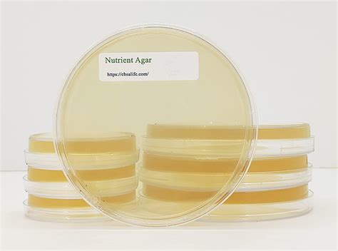 Cbsalife Nutrient Agar Plate Prepoured Ready To Use 100mm Petri Dish
