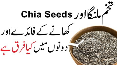 Is Chia Seeds And Tukh Malanga Same Chia Seeds Ke Fayde Or Istemal