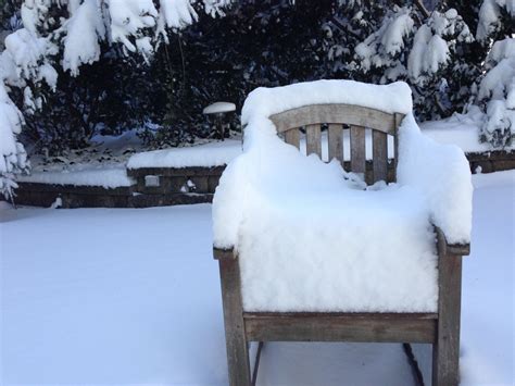 Free Images Snow Cold White Chair Frost Weather Backyard Snowy