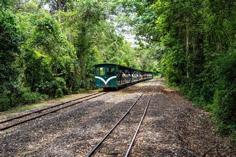 Rainforest Ecological Train At Iguazu Falls National Park In Argentina
