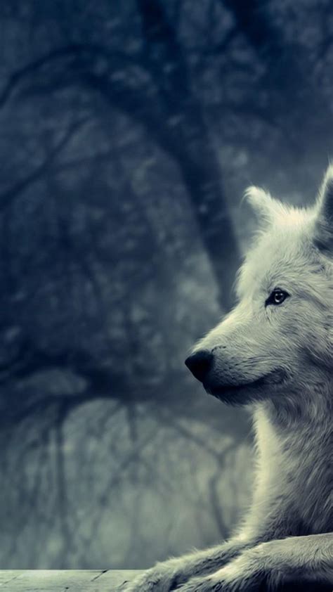 Cool Wolf Wallpaper Hd Hd Wallpapers Of Wolf For Mobile Awesome