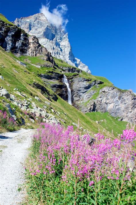 Alps Landscape Mountains Flowers Waterfall And A Clear