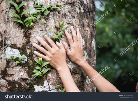 427040 Connection With Nature Images Stock Photos And Vectors