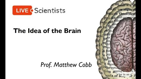 The Idea Of The Brain Prof Matthew Cobb 7 July 2020 Youtube