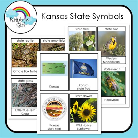 Kansas State Symbols State Symbols Kansas State Kansas State Flag