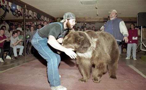 Vintage Is Bear Wrestling Legal Again In Alabama Live Bears