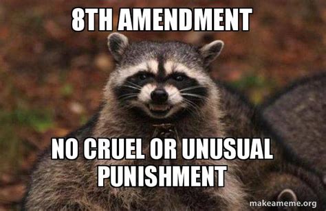 8th Amendment No Cruel Or Unusual Punishment Evil Plotting Raccoon