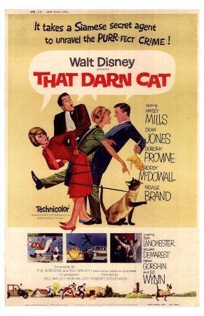 Can they find their way home? THAT DARN CAT | Disney movie posters, Classic movie ...