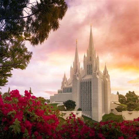 San Diego Temple Pictures Lds Temple Pictures