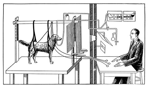 Pavlov Experiments With Dog Wellcome Collection