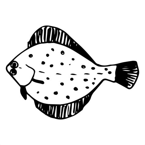A Single Vector Element Is A Flounder Fish Hand Drawn For Lovers Of