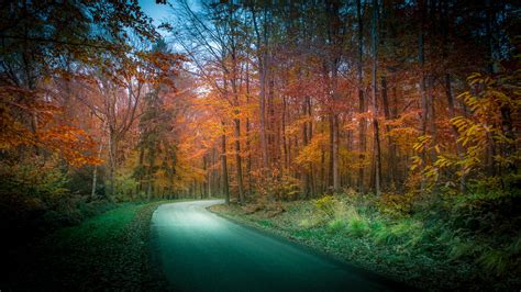 Autumn Roads Forests Nature Wallpapers Hd Desktop And Mobile