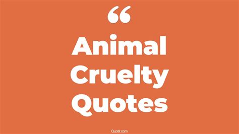 45 Delighting Animal Cruelty Quotes That Will Unlock Your True Potential