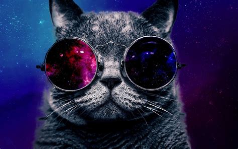 Glasses Cat Galaxy Wallpapers - Top Free Glasses Cat ...