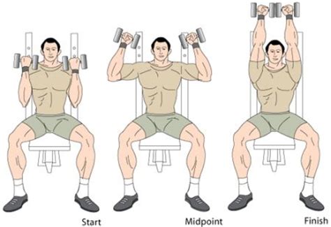 Set up an adjustable angle bench to 90 degrees and select the desired weight from the. The Arnold Press | MUSCLE INSIDER