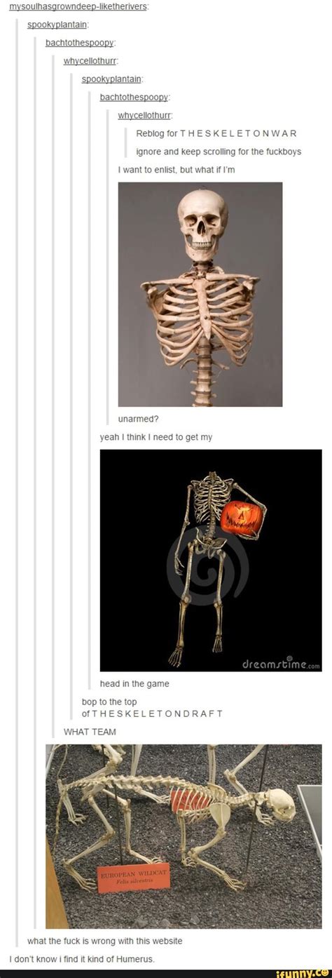 The Skeleton War Tumblr Funny Funny Tumblr Posts Skeleton Memes