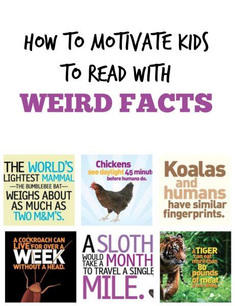 100 fun food facts you wont believe are true. Weird But True: From Television to Classroom