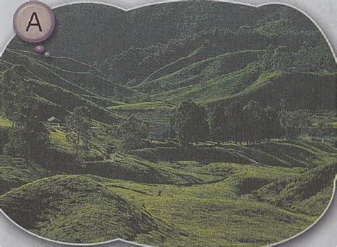 Kawasan tanah pamah adalah kawasan yang kurang daripada 180 meter tingginya di lembah. Bentuk muka bumi di Malaysia | CHEW LEE PING D20102041399 ...