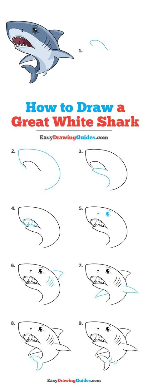 Learn how to draw a shark tutorial and printable. How to Draw a Great White Shark - Really Easy Drawing ...
