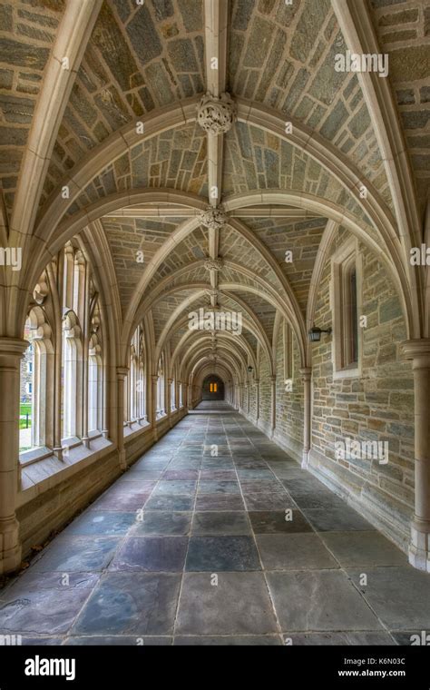 Princeton University Hallway Iii A View To A Perfect Example Of