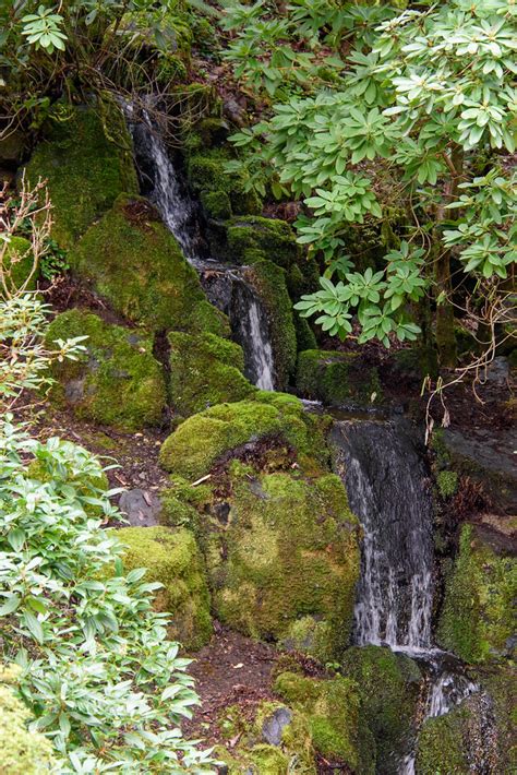 Waterfall At Bloedel Reserve Kitsapimages Flickr