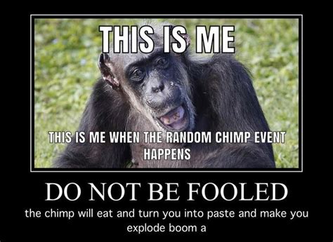 Me When The Random Chimp Event Happens Random Chimp Event Know Your