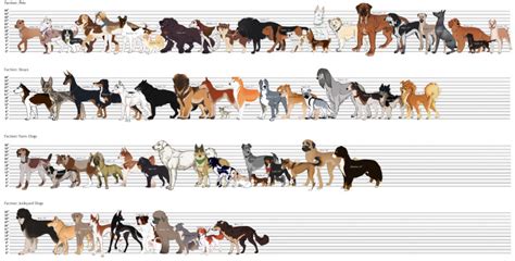 What Is Considered A Large Dog Breed
