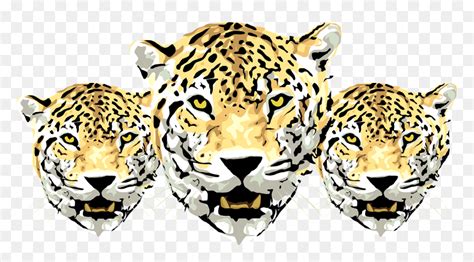 Maybe you would like to learn more about one of these? Jaguar Animal Drawing, HD Png Download - vhv