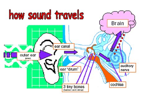 About Sound Waves