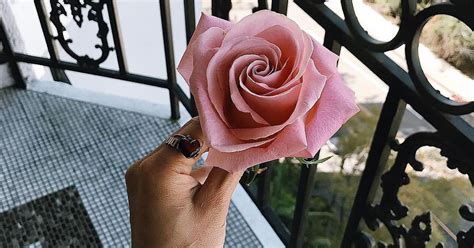 Check spelling or type a new query. 9 Prettiest Flower Bouquets from MissyFlowers.com ...