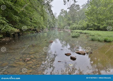 Flowing Rocky Creek Clear Clean Water Stock Image Image Of Rapid