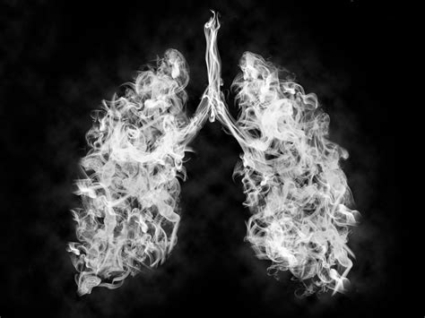 It may be hard to separate in between. Why smokers' lungs are extra receptive to coronavirus ...