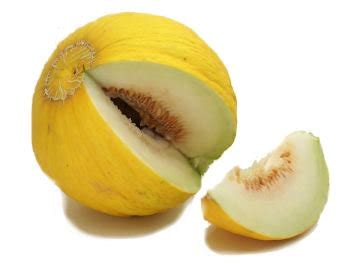 En melon er en hvilken som helst af forskellige planter i familien cucurbitaceae med sød, spiselig og kødfuld frugt. カサバメロンの種子 - マルシェ青空