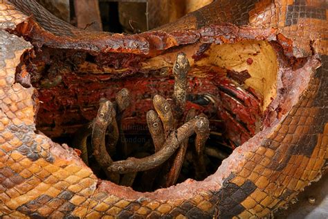 Indy chases after a small group of mooks, only to encounter a larger group of mooks and run away the titular temple of doom is depicted as a netherworld of volcanic cave systems, complete with a lava pit. INDIANA JONES AND THE TEMPLE OF DOOM (1984) - SFX Banquet ...