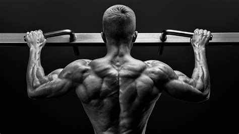 Best Back Muscle Building Workout And Exercises In Gym