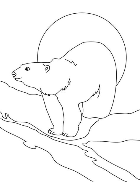 Awesome Drawing Of Arctic Animals Polar Bear Coloring Page