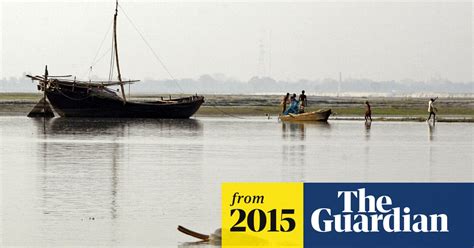 india conducts first official survey of ganges dolphins dolphins the guardian