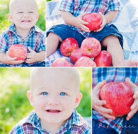 Make an itinerary of fruits to try around the world, including norwegian cloudberries, thai mangosteens, and © jhb photography / alamy. apples! | Apple, Fruit, Photography