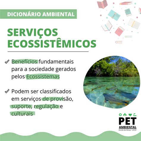 Serviços Ecossistêmicos Que São Aqueles Benefícios Diretos E Indiretos