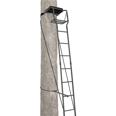 Ameristep 15 Ladder Stand