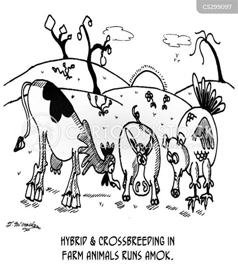 Breeding Program Cartoons And Comics Funny Pictures From Cartoonstock